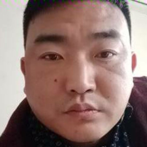 鸽子……的照片
