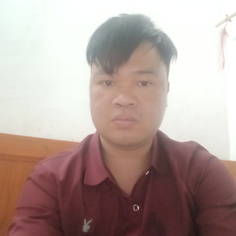 懦弱蹁跹纸鹤，夏的照片