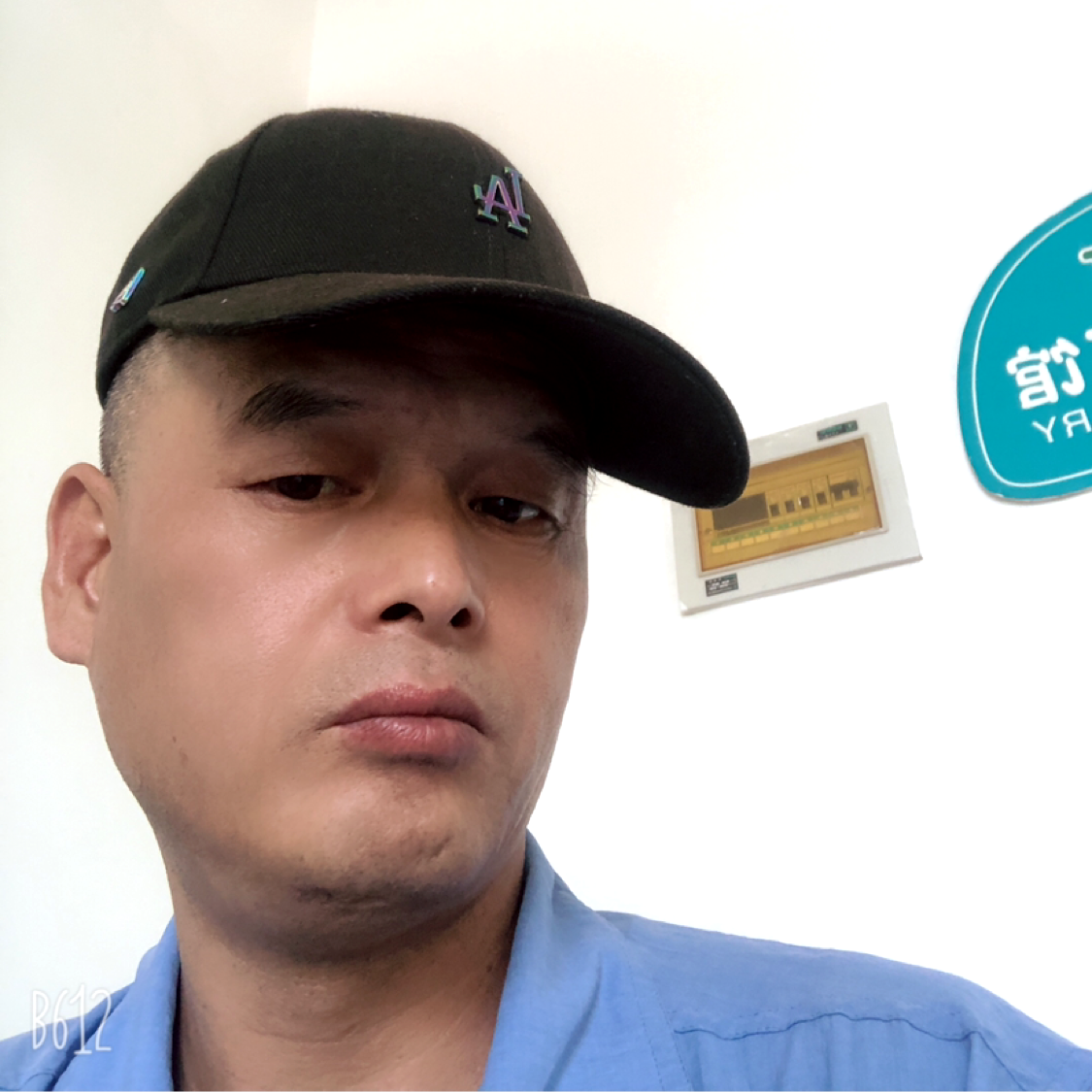 小白菜苦恋风趣的照片