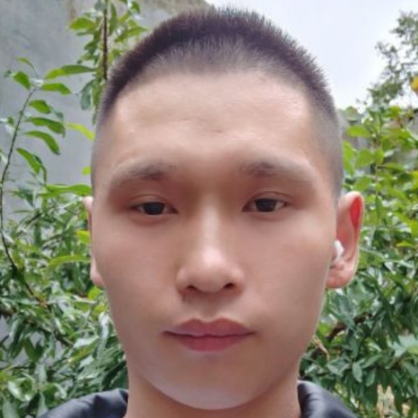 魔幻芒果6的照片