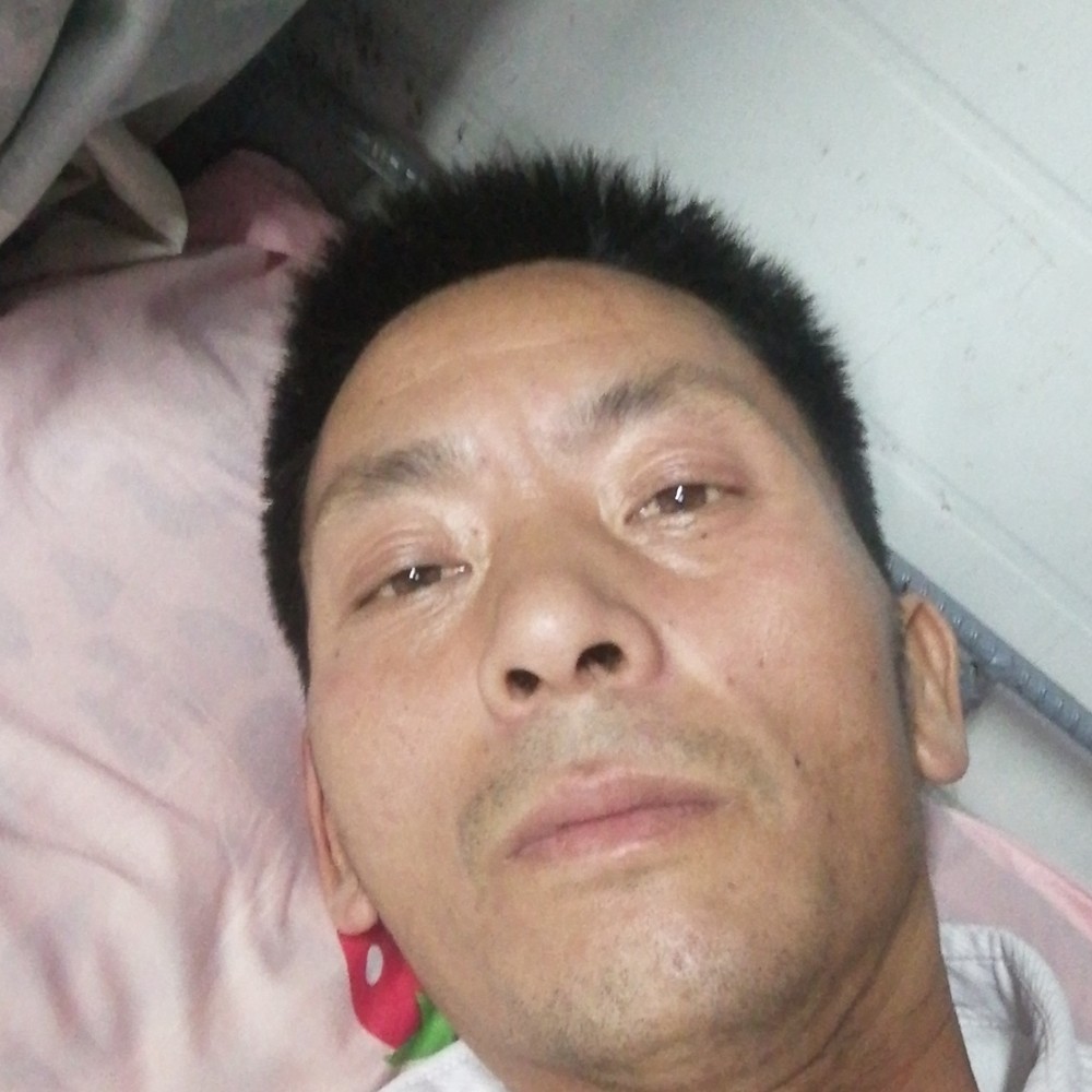 炙热踢树叶的照片