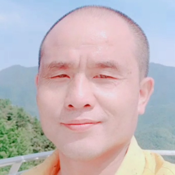 坚强蜜蜂的照片