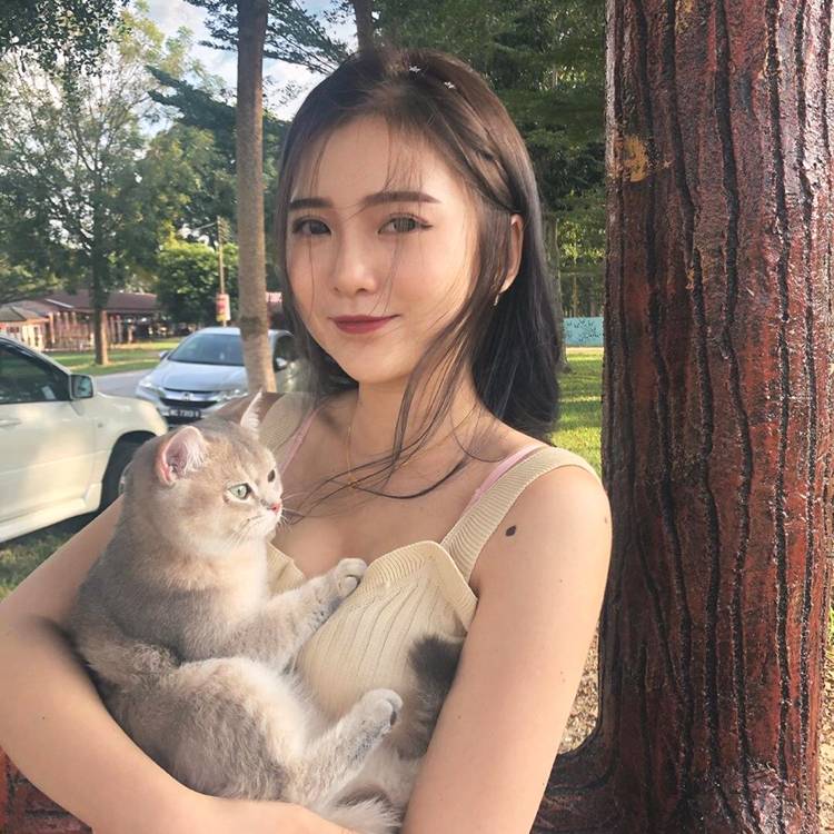 缘来如此的美好的照片