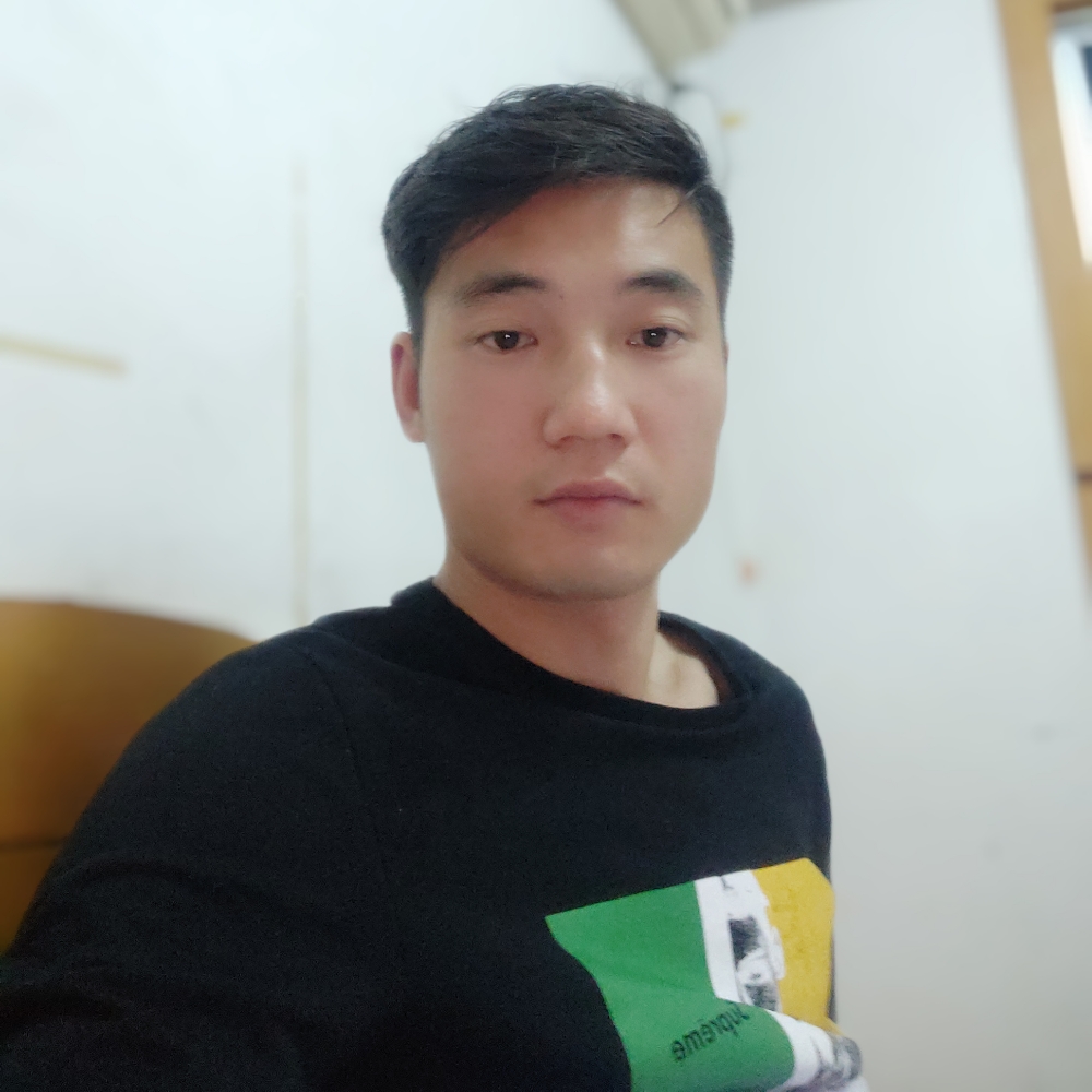 危机斑马的照片