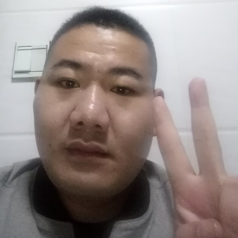 顺利龙猫的照片