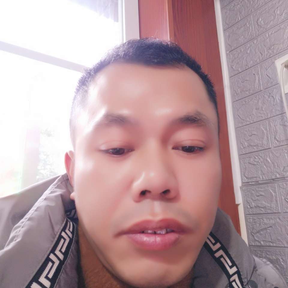 枫叶打糊涂的照片