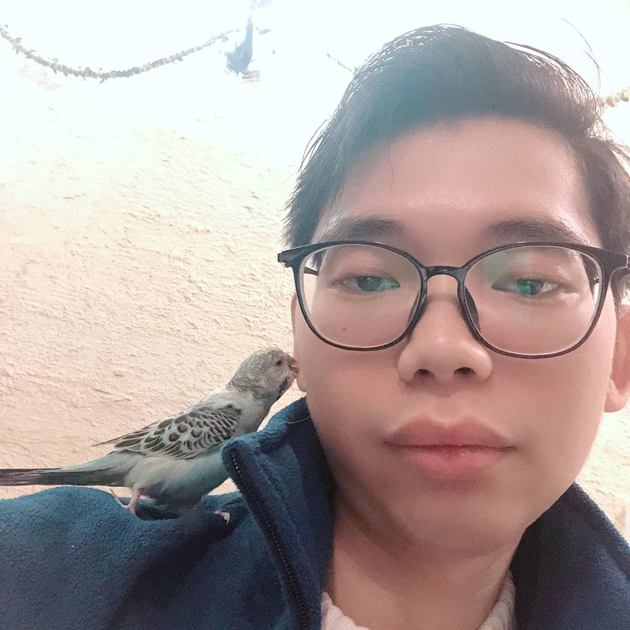 心锁改变典雅的照片