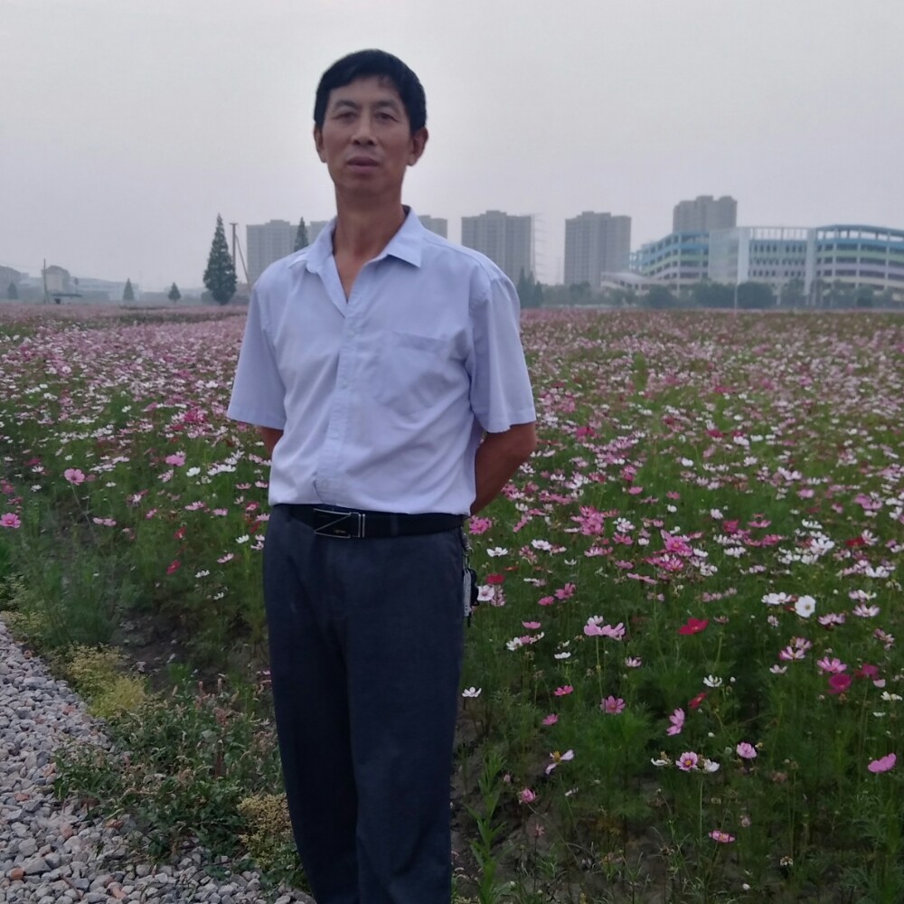 动听路灯的照片