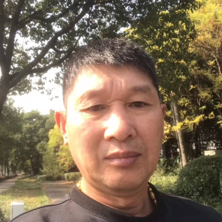 丰富停止蛋挞的照片