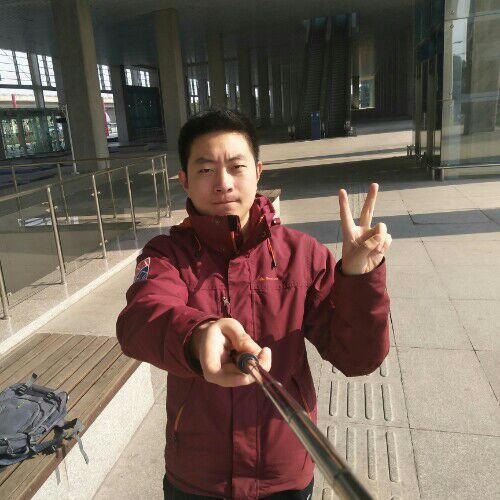 单纯的鹿的照片