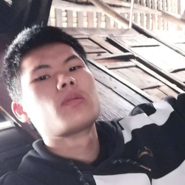 优雅邂逅小兔子的照片