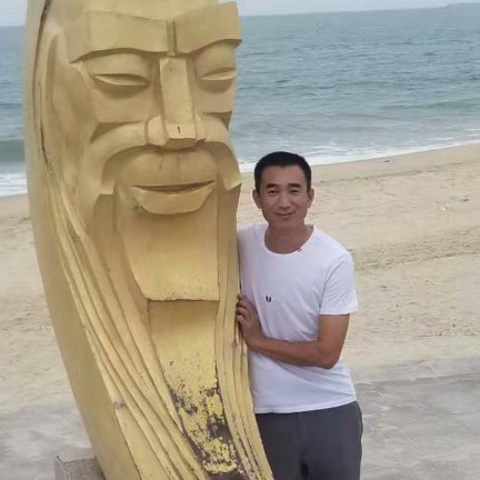 小鸽子迷人的照片