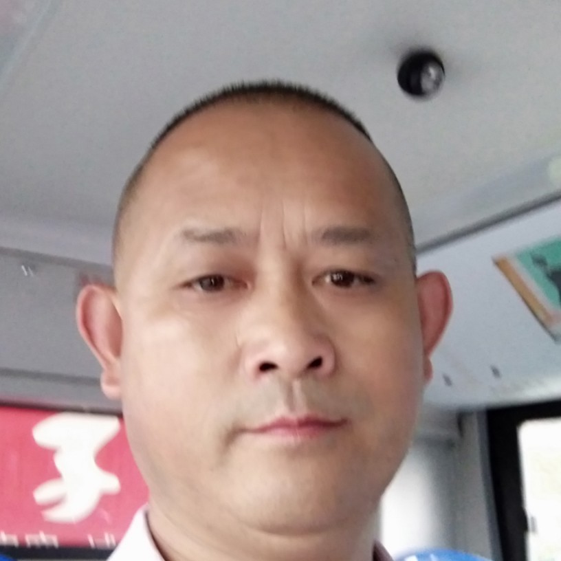 逐风痴情的照片