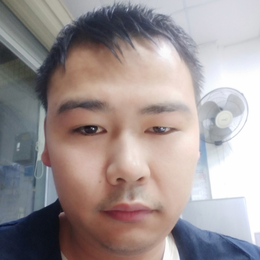 玫瑰深拥舒服的照片