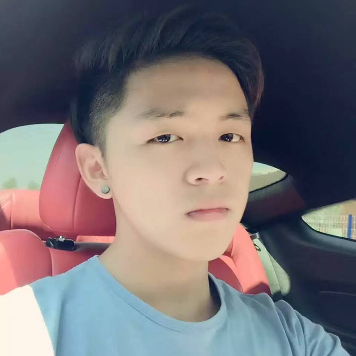 无奈凝眸大树的照片