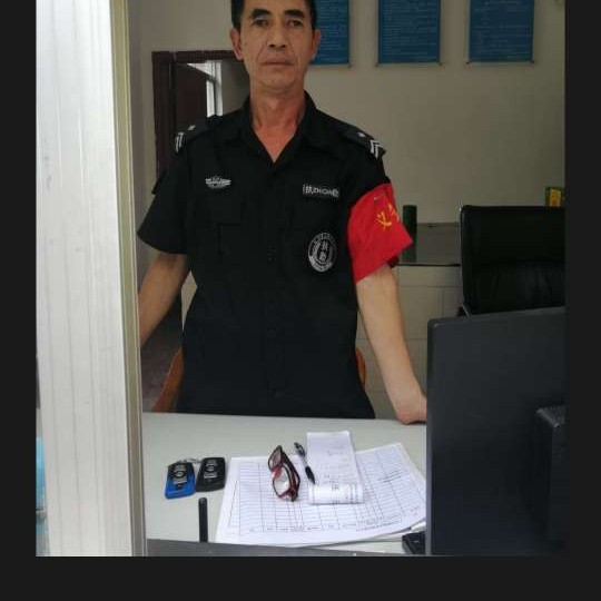 小海豚爱亲爱的的照片