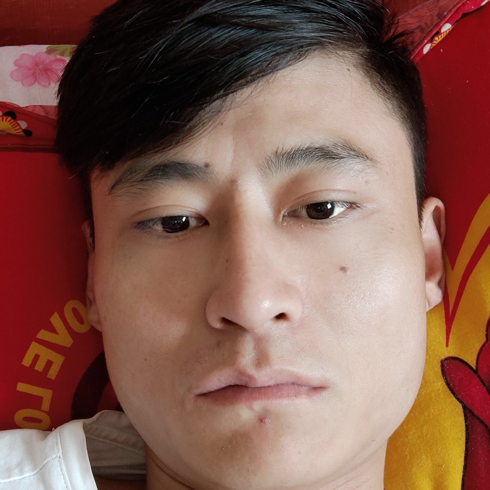 受宠若惊弓之鸟的照片