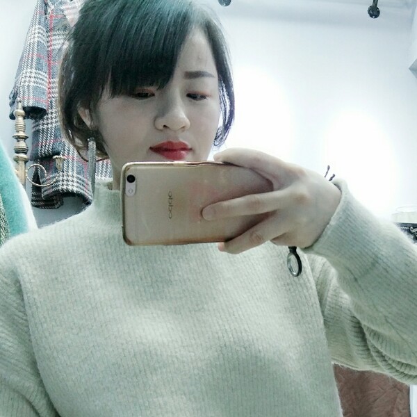 寂冷向日葵的照片