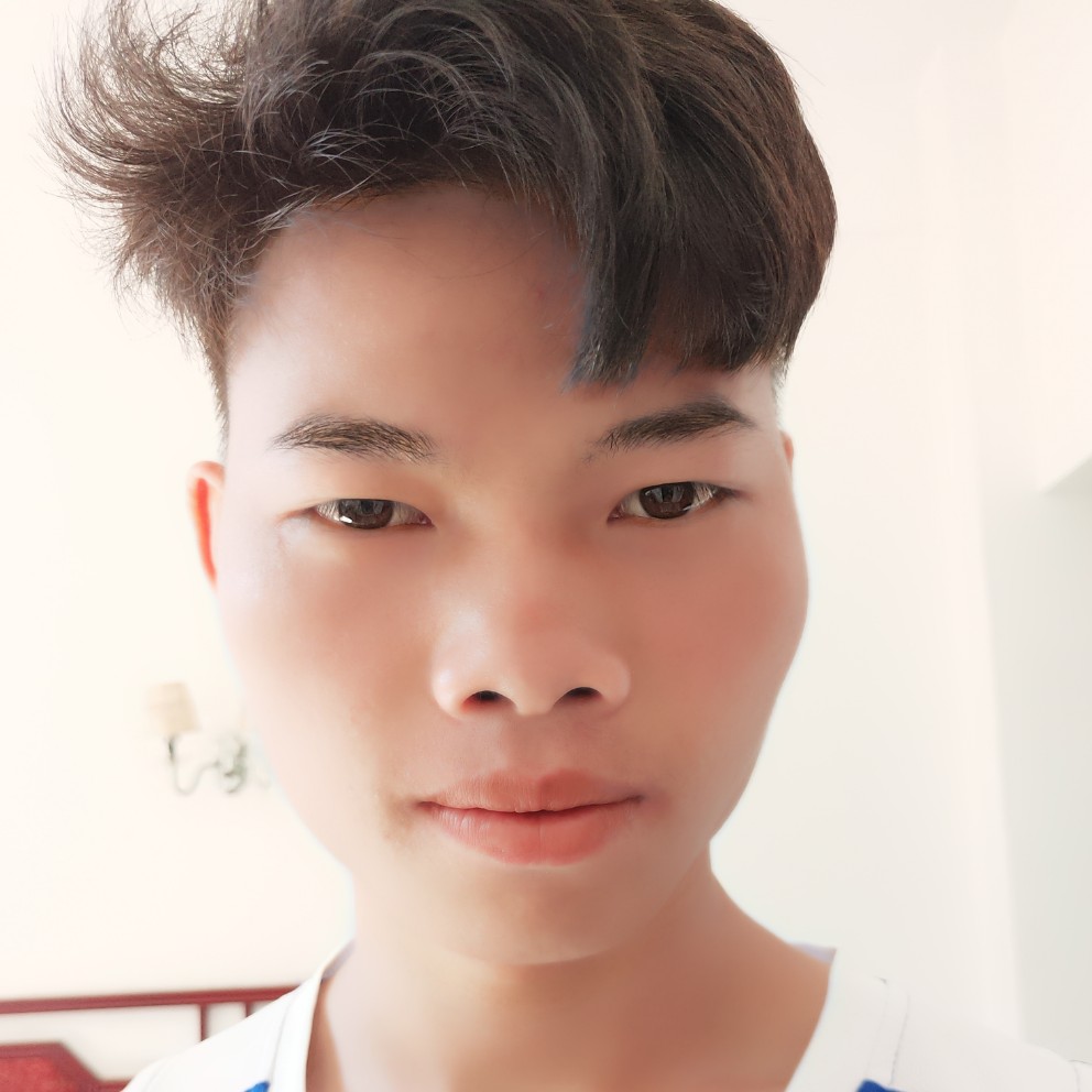 画笔老实的照片