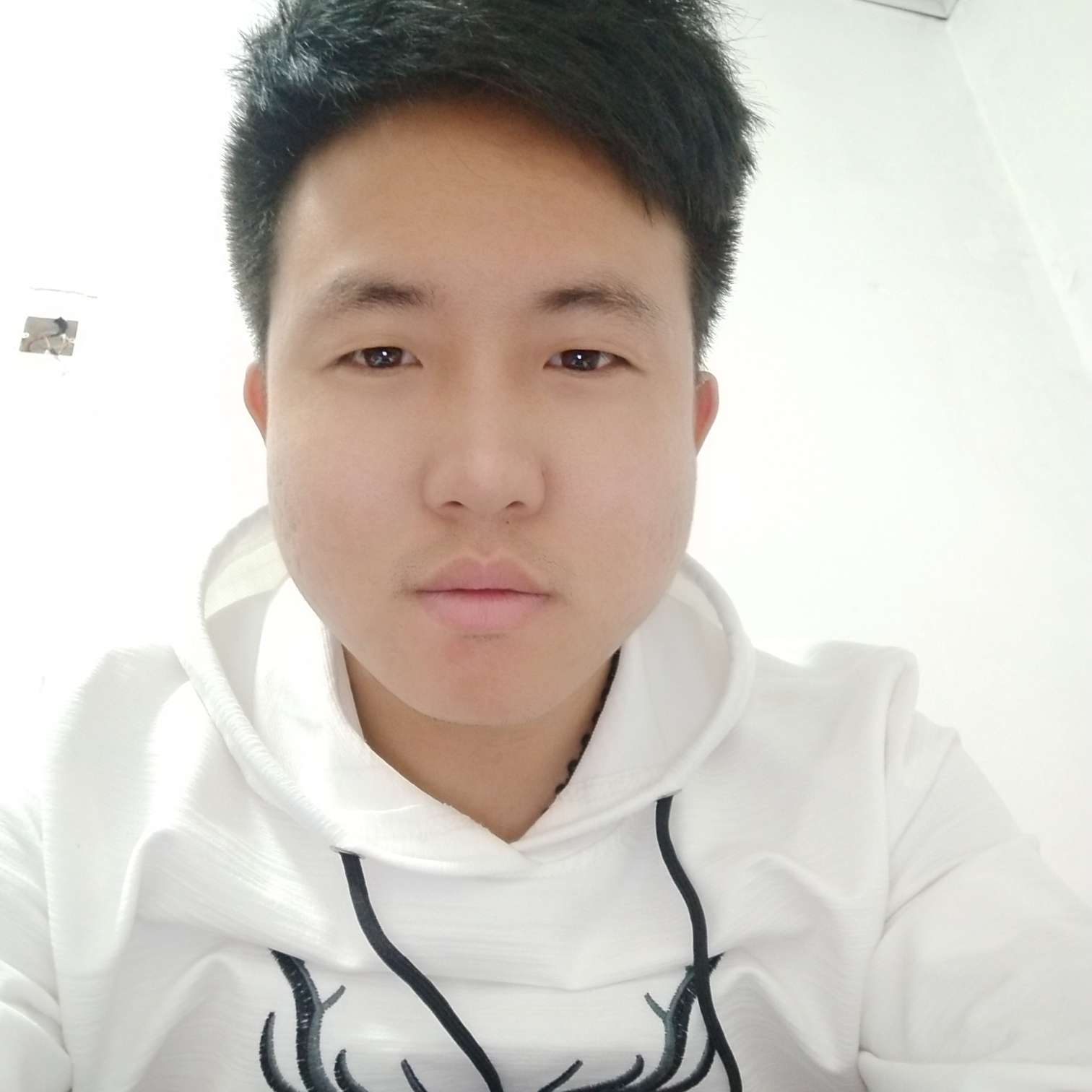 安图乐道的照片