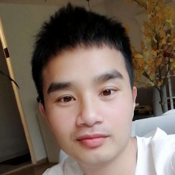 灰狼向无心的照片