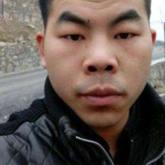 闪闪放弃河马的照片