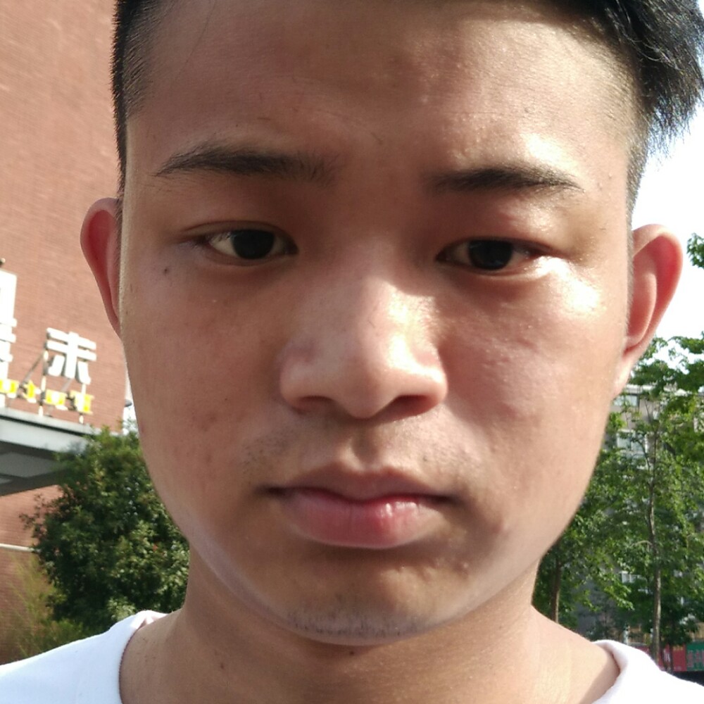斯文过客的照片
