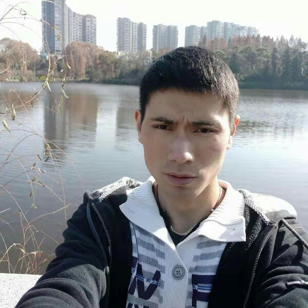 哈米刮的照片