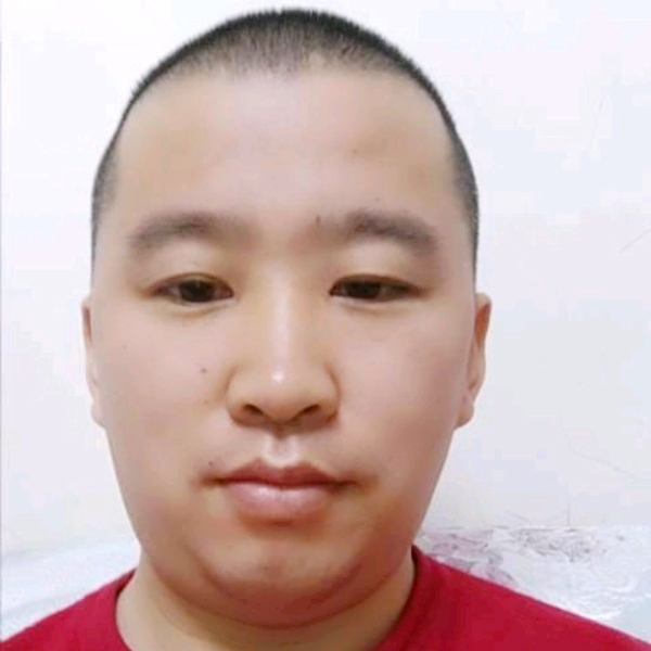 小懒猪务实的照片