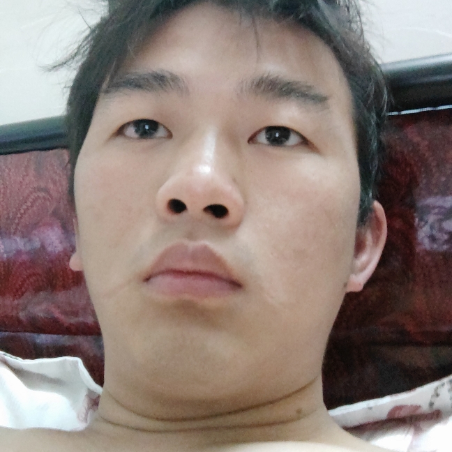 高挑的鸭子的照片