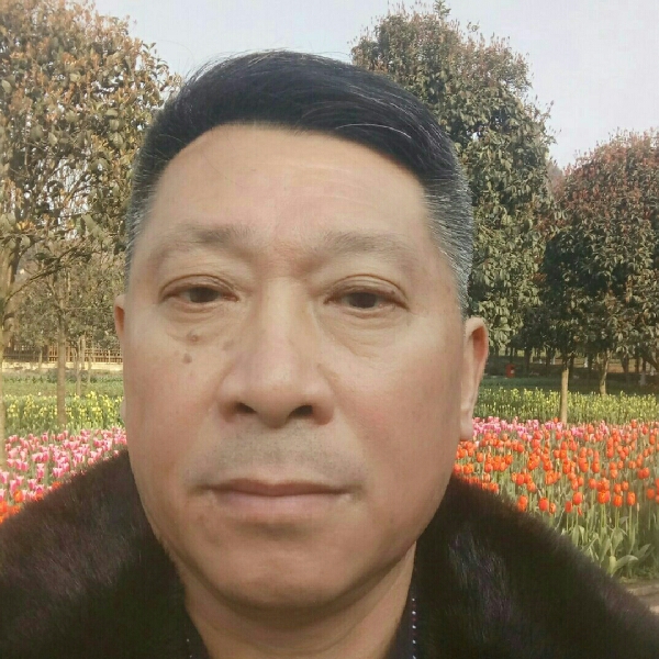 香菇翩飞的照片