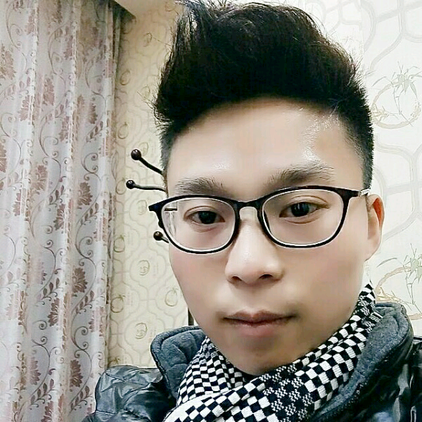 斯文大船的照片