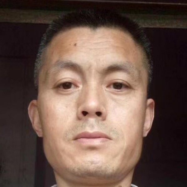 唠叨还大树的照片