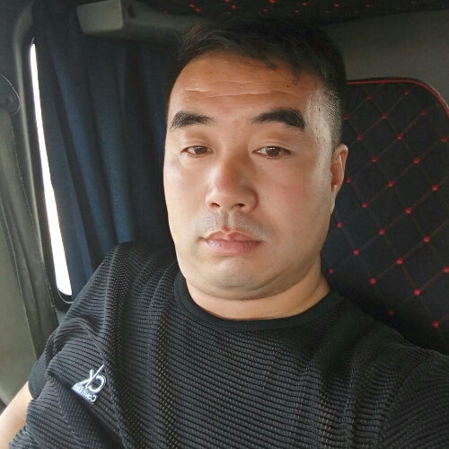 沙漠里的草的照片