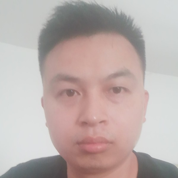 傻子木头人的照片