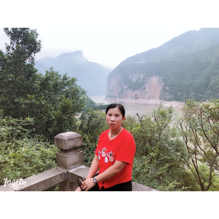 紫丁的照片