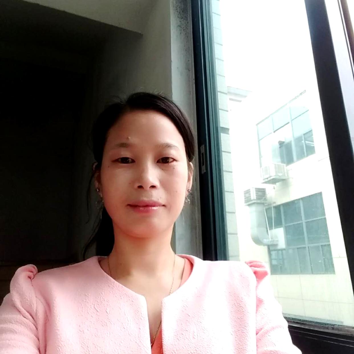 含羞草迎直率的照片