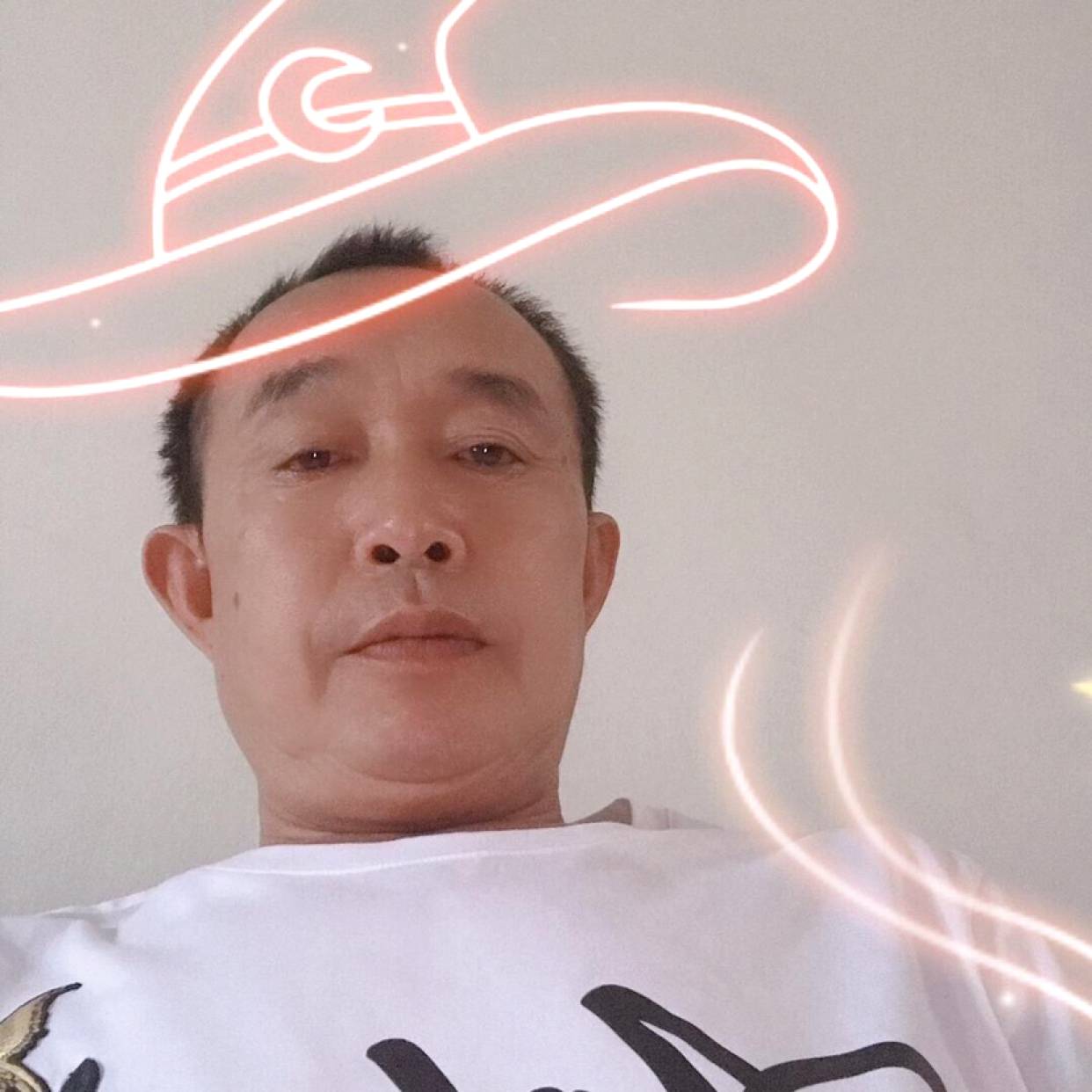 典雅 白猫的照片