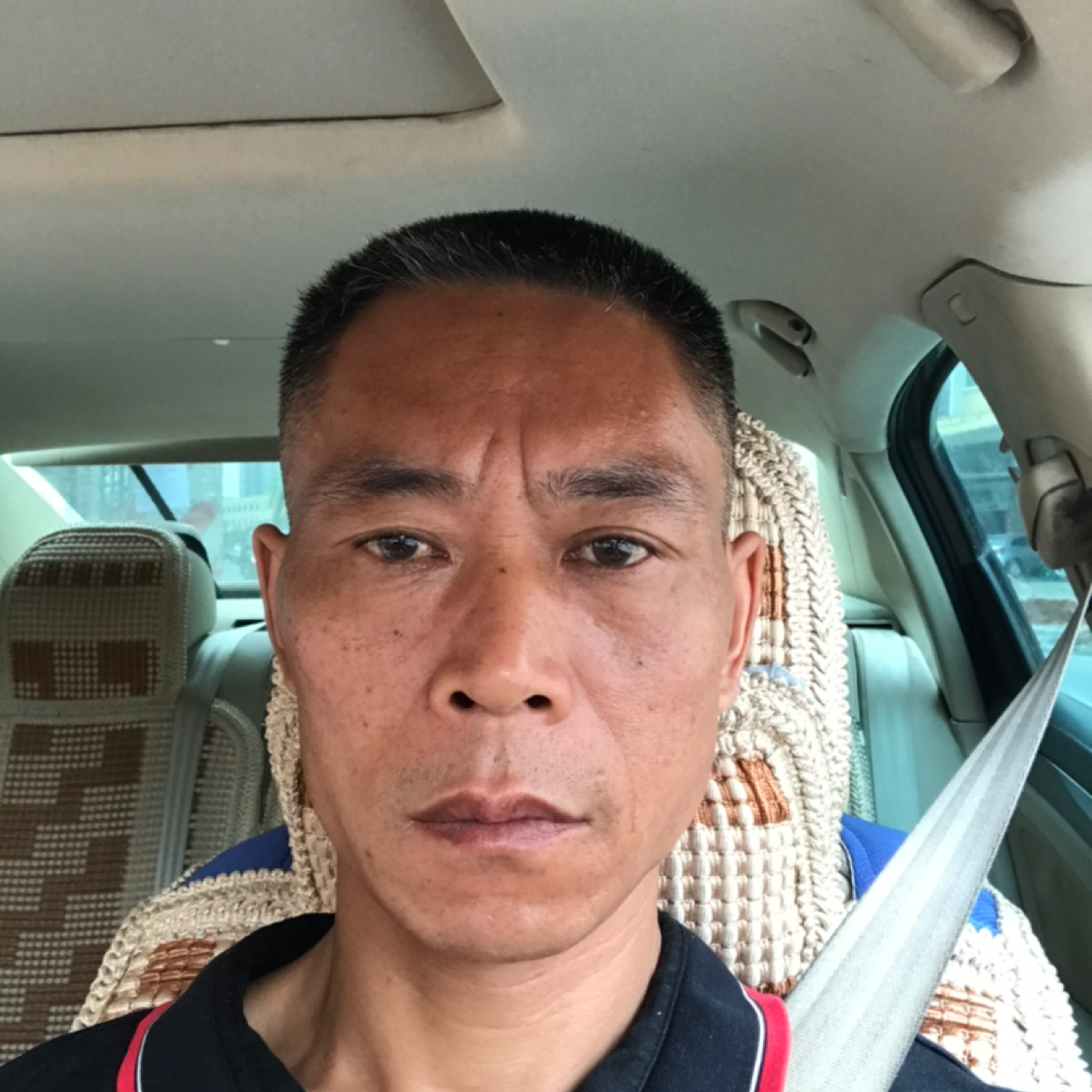 春意渐浓的照片