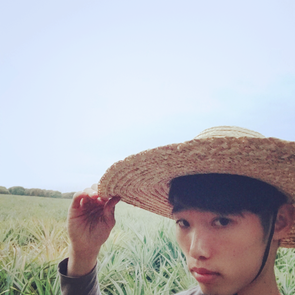 迷离春秋的照片