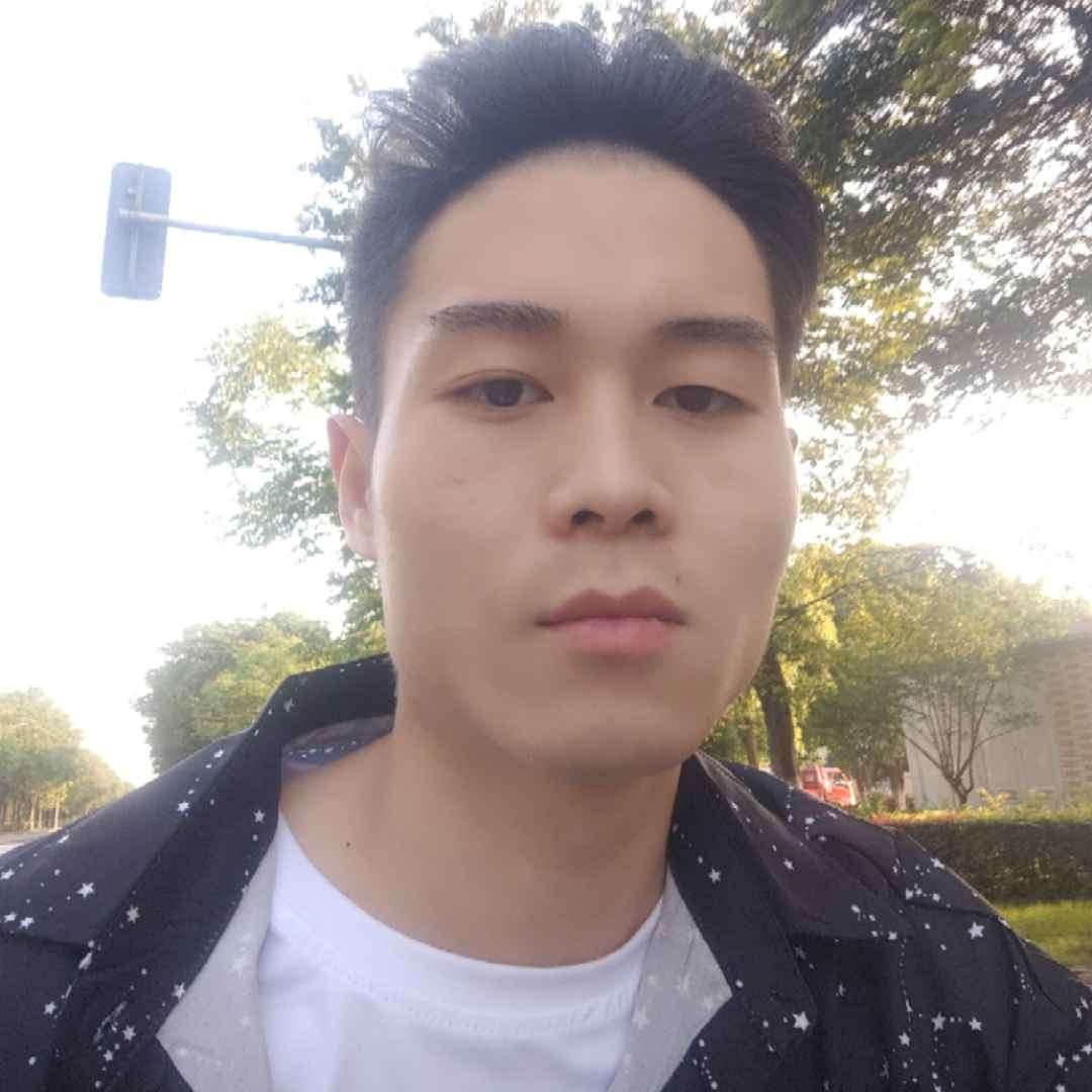 小蚂蚁过时的照片