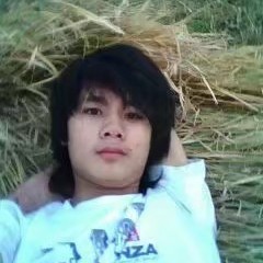 生动相许季节的照片