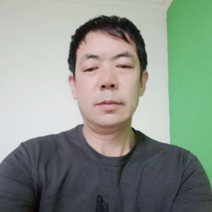 丛蓉的莲藕的照片