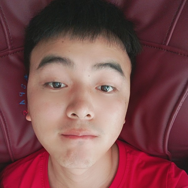 长颈鹿蹁跹沉静的照片