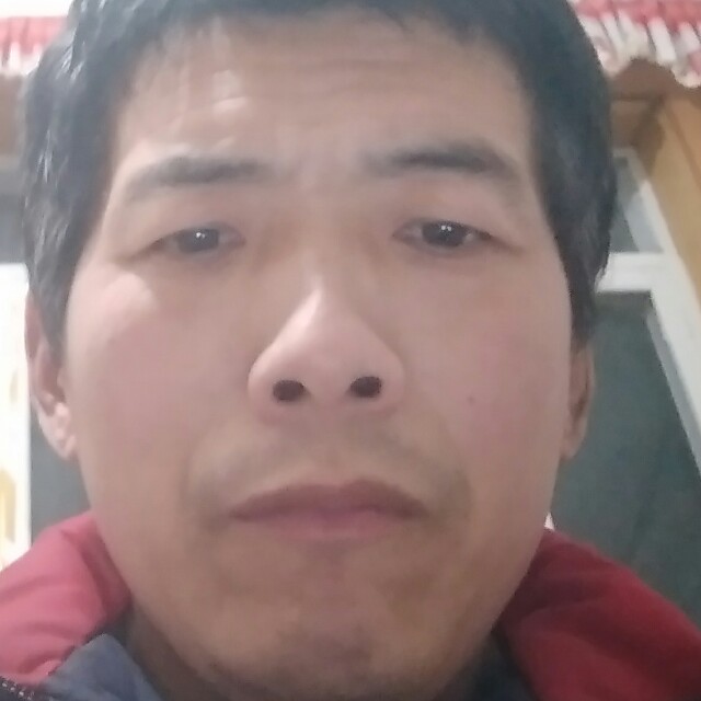大方迎发夹的照片