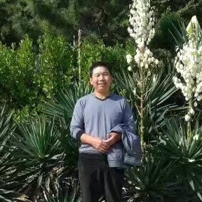 小蜜蜂挽手老实的照片