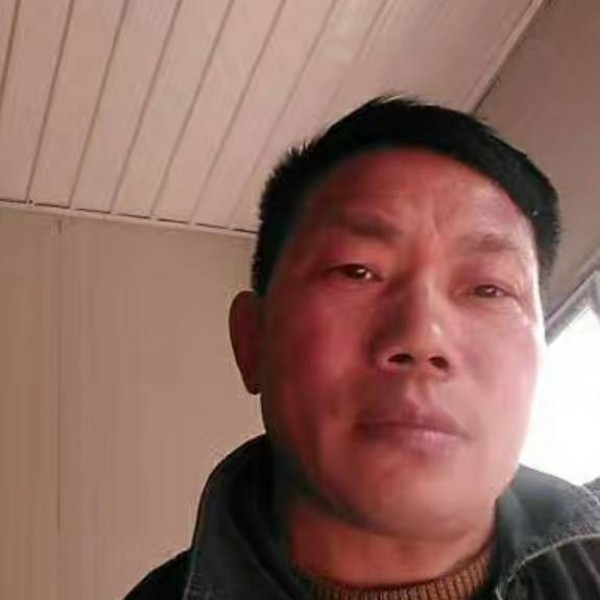 大龙668的照片