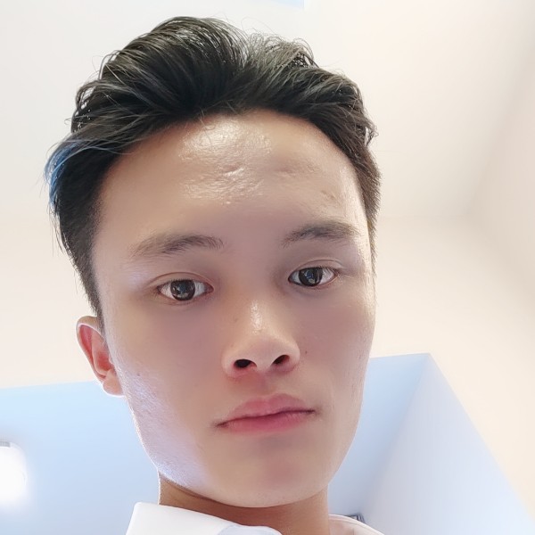 会飞的跳蚤的照片