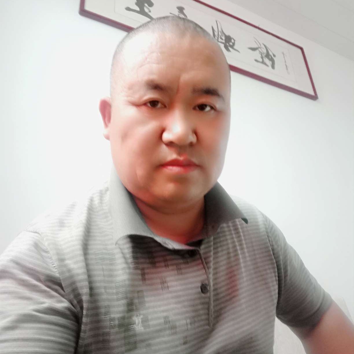 秉性坚强的照片