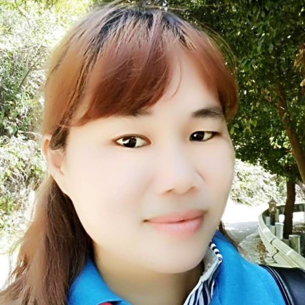 黏人的猫猫的照片
